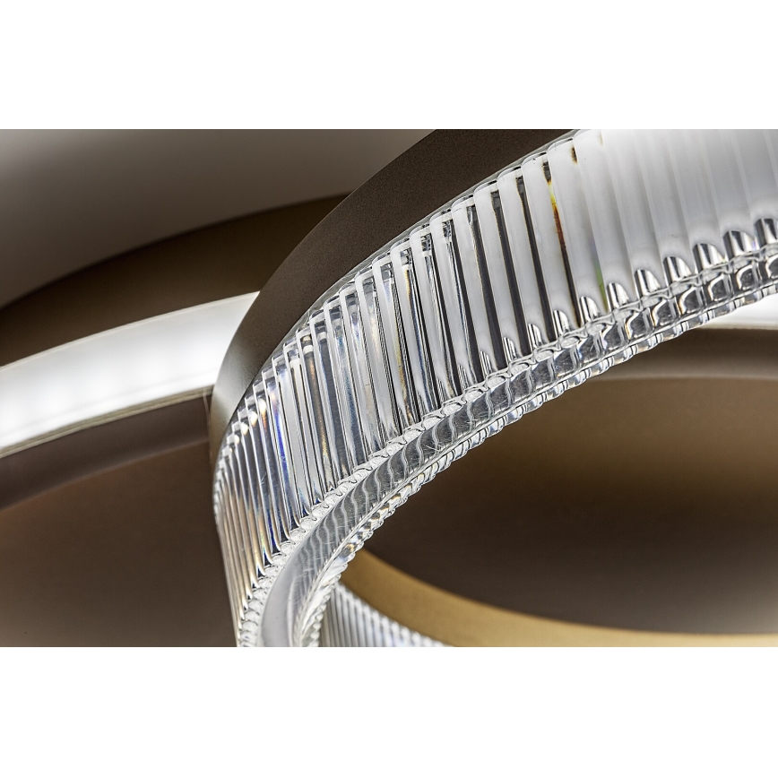Rabalux - hämardatav LED-laelamp LED/22W/230V 3000-6500K 53,5x35 cm + kaugjuhtimispult