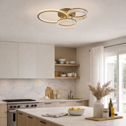 Rabalux - LED Hämardatav laelamp LED/38W/230V 3000-6500K 58,5x38 cm + kaugjuhtimispult