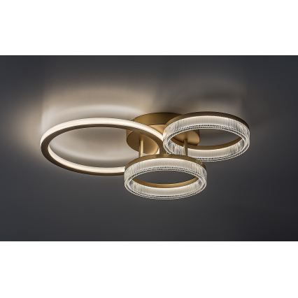 Rabalux - LED Hämardatav laelamp LED/38W/230V 3000-6500K 58,5x38 cm + kaugjuhtimispult