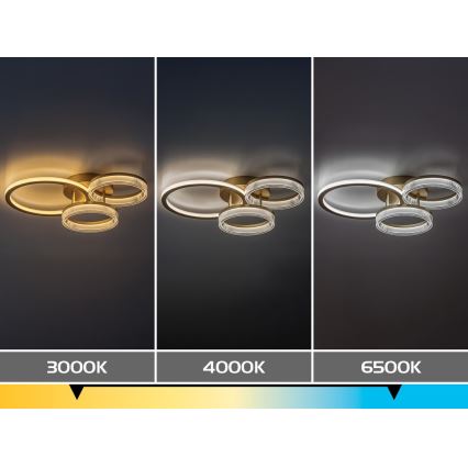Rabalux - LED Hämardatav laelamp LED/38W/230V 3000-6500K 58,5x38 cm + kaugjuhtimispult