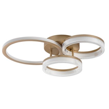 Rabalux - LED Hämardatav laelamp LED/38W/230V 3000-6500K 58,5x38 cm + kaugjuhtimispult