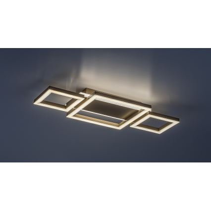 Rabalux - LED laelamp LED/24W/230V 51,5x22 cm