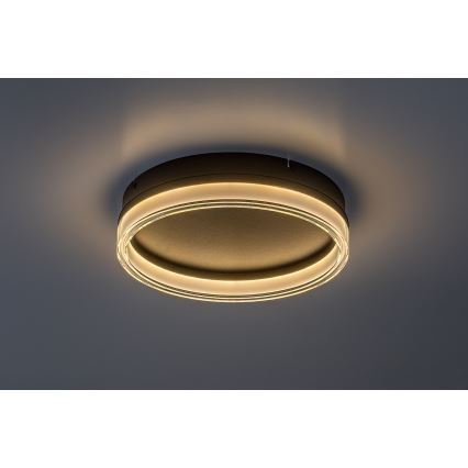 Rabalux - LED hämardatav laelamp LED/18W/230V 3000-6500K läbimõõt 33 cm + kaugjuhtimispult