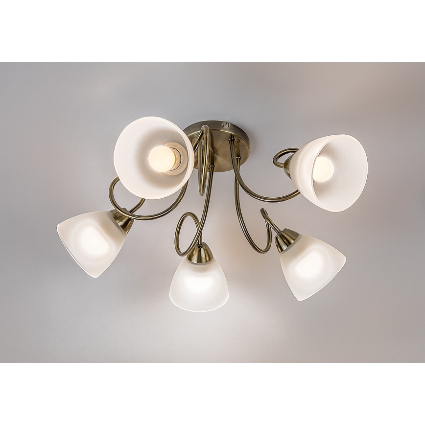 Rabalux - Pinnapealne laelühter 5xE27/60W/230V