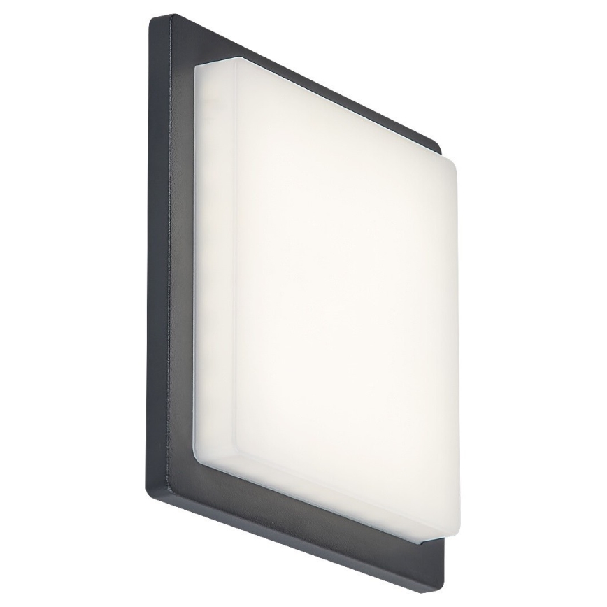 Rabalux - LED Väli seinavalgusti LED/8W/230V IP65