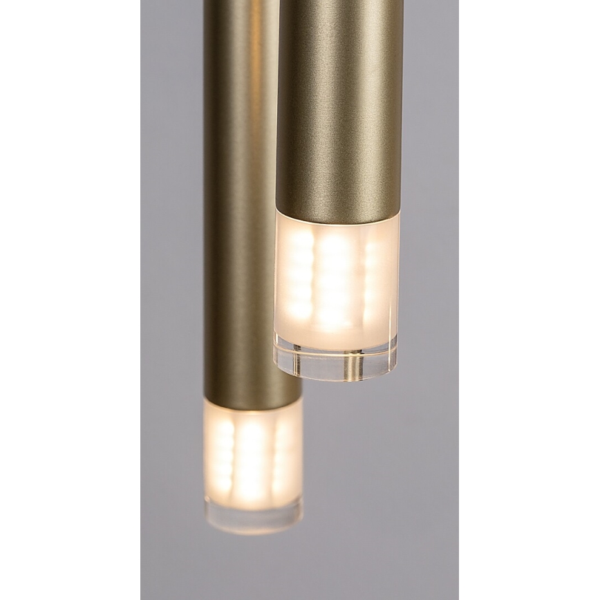 Rabalux - Lühter 5xG9/5W/230V kuldne