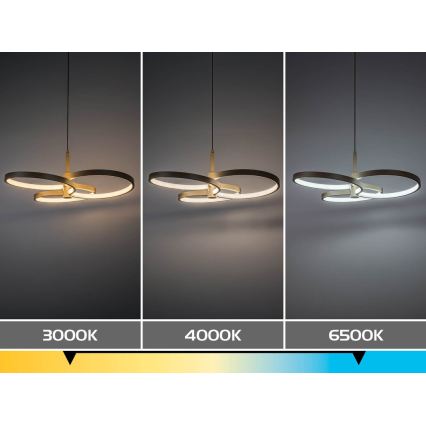 Rabalux - Hämardatav LED-rippvalgusti kaablil LED/50W/230V 3000-6500K + kaugjuhtimispult