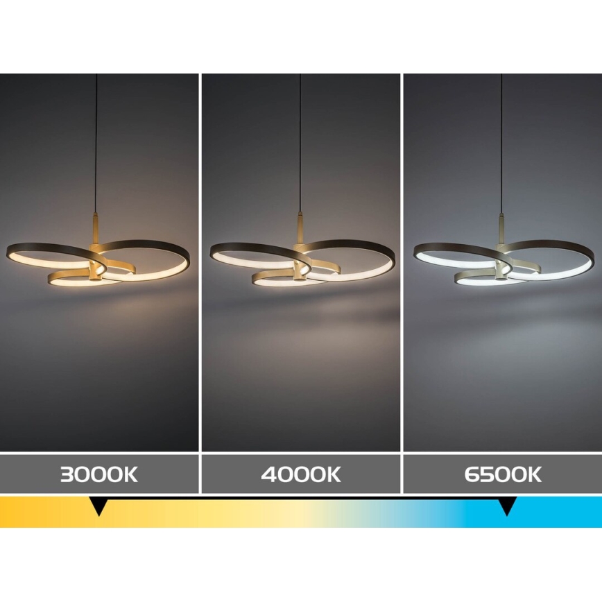 Rabalux - Hämardatav LED-rippvalgusti kaablil LED/50W/230V 3000-6500K + kaugjuhtimispult