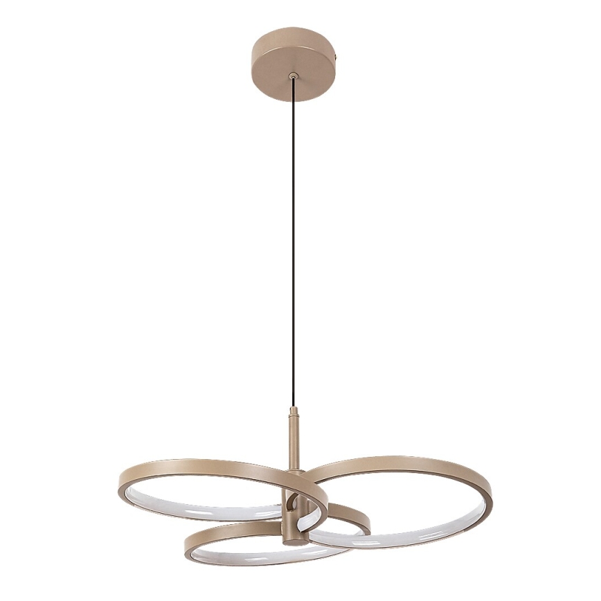 Rabalux - Hämardatav LED-rippvalgusti kaablil LED/50W/230V 3000-6500K + kaugjuhtimispult