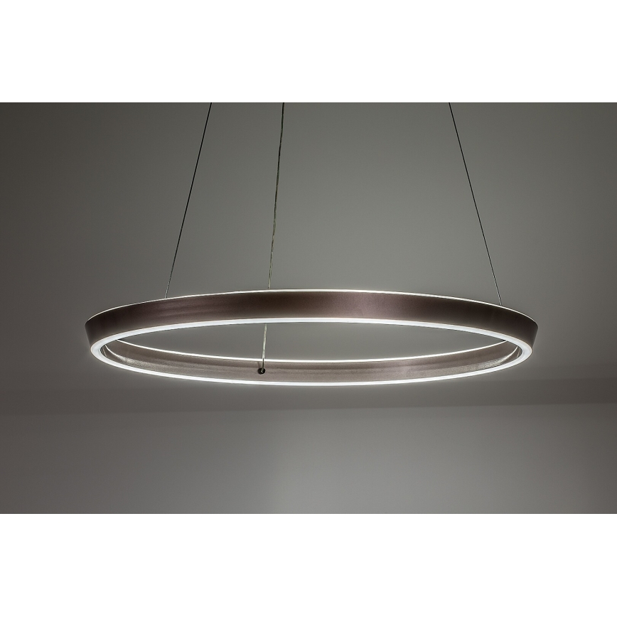 Rabalux - Hämardatav LED-rippvalgusti kaabliga LED/70W/230V 3000-6500K + kaugjuhtimispult