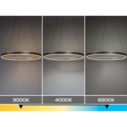 Rabalux - Hämardatav LED-rippvalgusti kaabliga LED/70W/230V 3000-6500K + kaugjuhtimispult