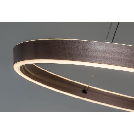 Rabalux - Hämardatav LED-rippvalgusti kaabliga LED/70W/230V 3000-6500K + kaugjuhtimispult