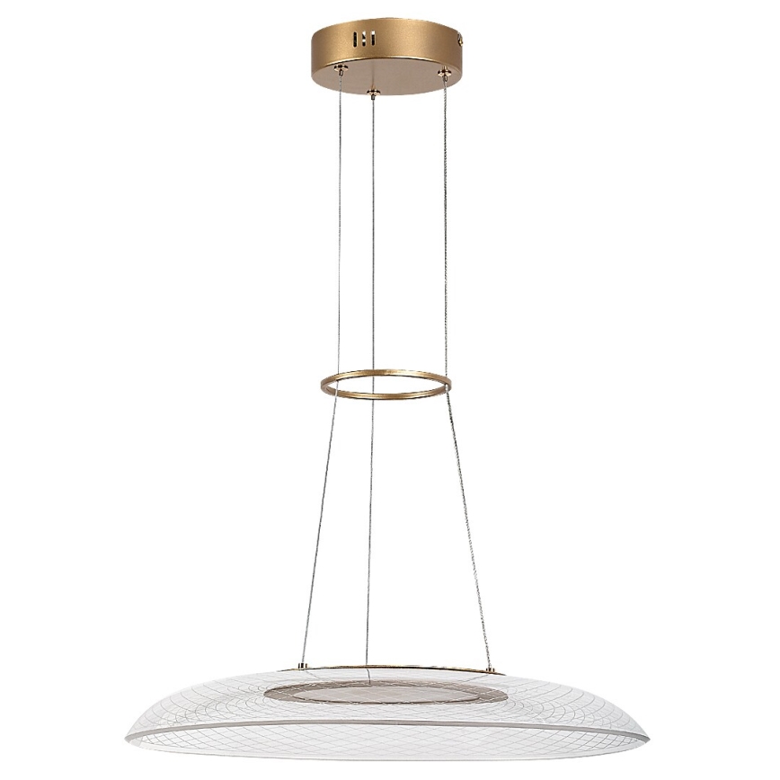 Rabalux - LED-rippvalgusti kaablil LED/24W/230V 3000K