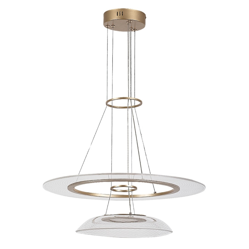 Rabalux - LED-rippvalgusti trossiga LED/36W/230V 3000K