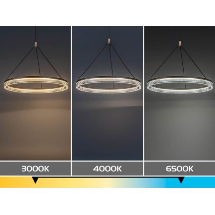Rabalux - hämardatav LED-rippvalgusti kaabliga LED/24W/230V 3000-6500K + kaugjuhtimispult