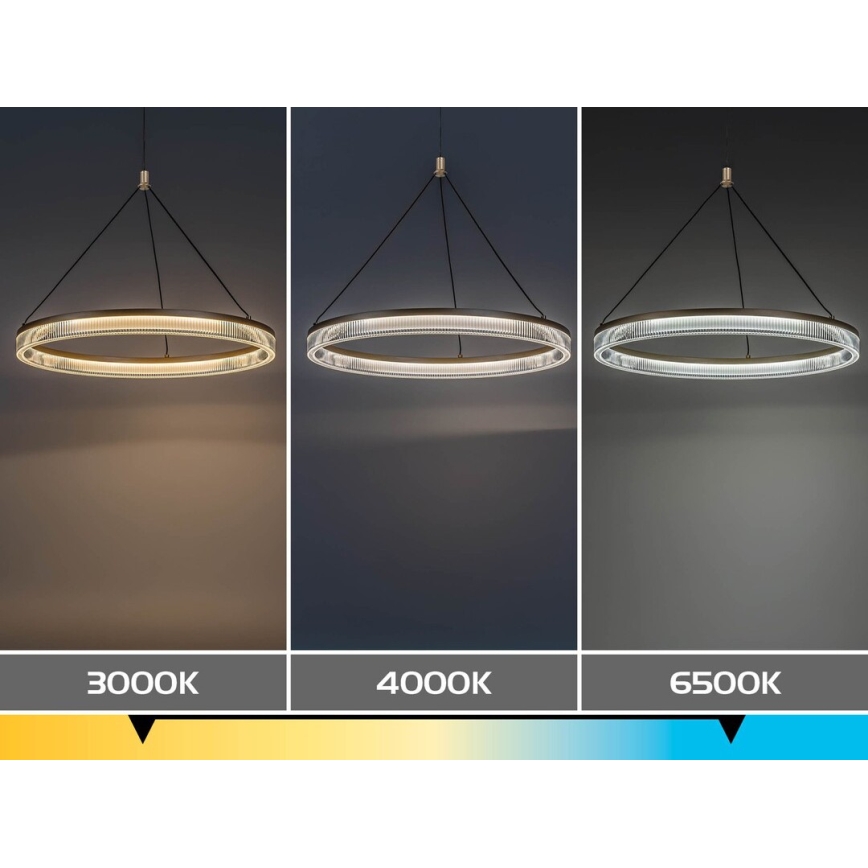 Rabalux - hämardatav LED-rippvalgusti kaabliga LED/24W/230V 3000-6500K + kaugjuhtimispult