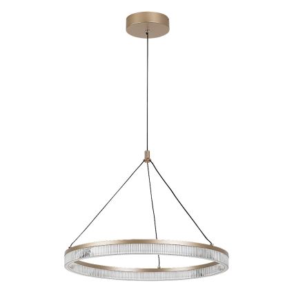 Rabalux - hämardatav LED-rippvalgusti kaabliga LED/24W/230V 3000-6500K + kaugjuhtimispult