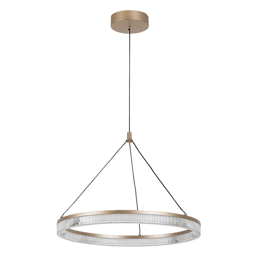 Rabalux - hämardatav LED-rippvalgusti kaabliga LED/24W/230V 3000-6500K + kaugjuhtimispult