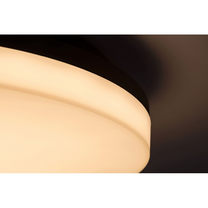 Rabalux - LED Laevalgusti vannituppa LED/24W/230V IP54