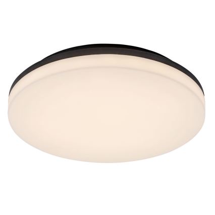 Rabalux - LED-vannitoa laevalgusti LED/24W/230V IP54 ø 28 cm