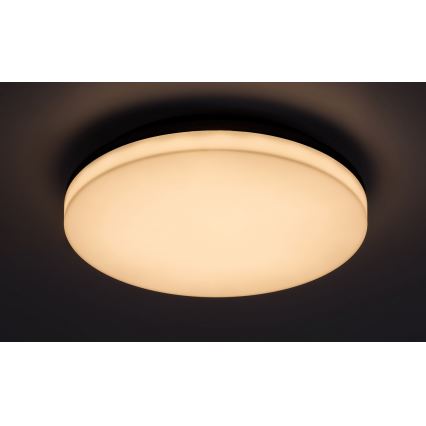 Rabalux - LED-vannitoa laevalgusti LED/24W/230V IP54 ø 28 cm