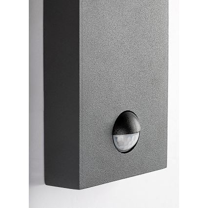 Rabalux - Väli seinavalgusti liikumisanduriga 1xE27/40W/230V IP44