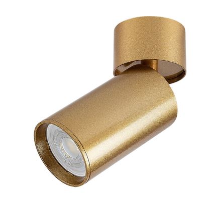 Rabalux - Kohtvalgusti 1xGU10/5W/230V kuldne