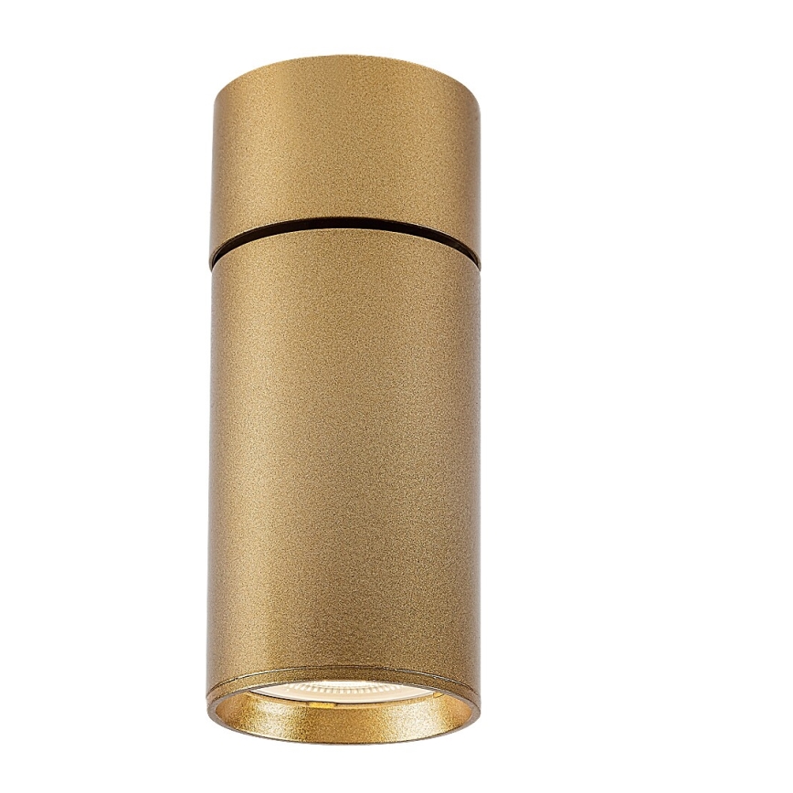 Rabalux - Kohtvalgusti 1xGU10/5W/230V kuldne