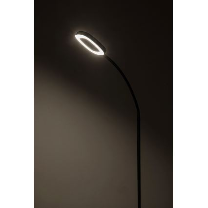 Rabalux - LED Hämardatav puutetundlik põrandalamp LED/11W/230V 3000K