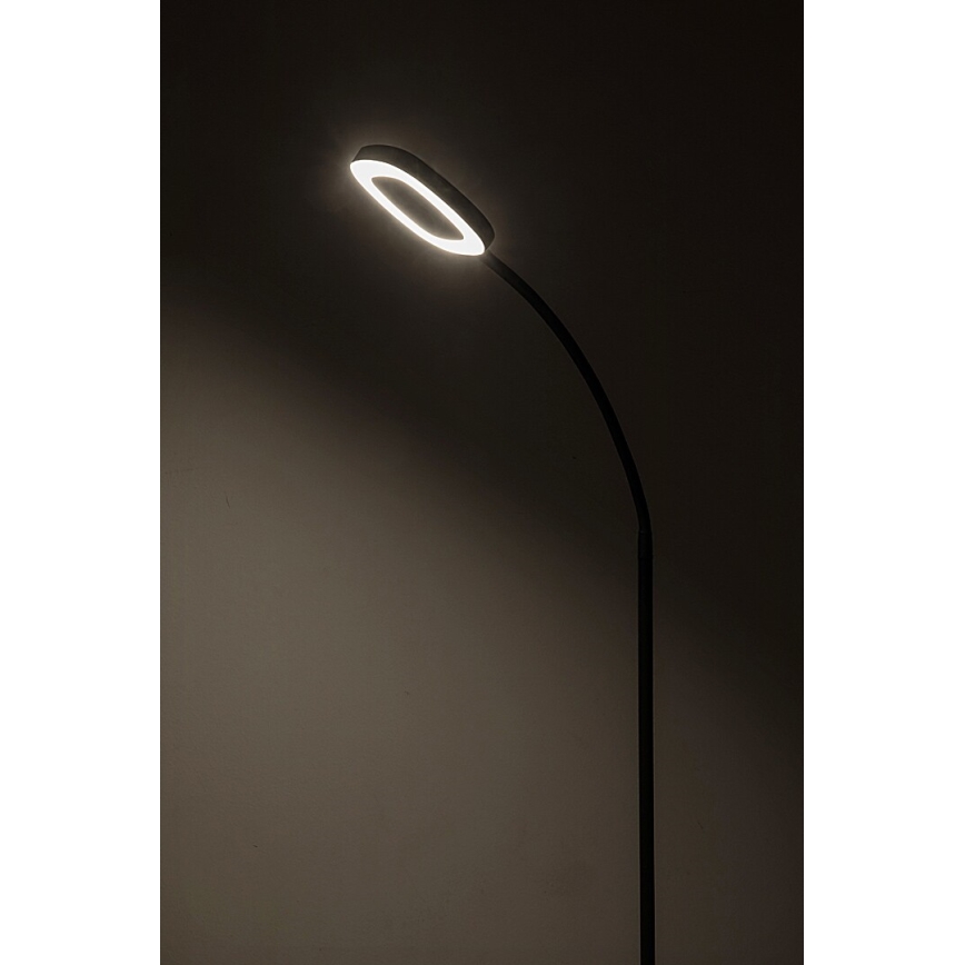 Rabalux - LED Hämardatav puutetundlik põrandalamp LED/11W/230V 3000K