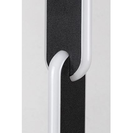 Rabalux - LED Hämardatav põrandalamp LED/33W/230V 3000/4000K must