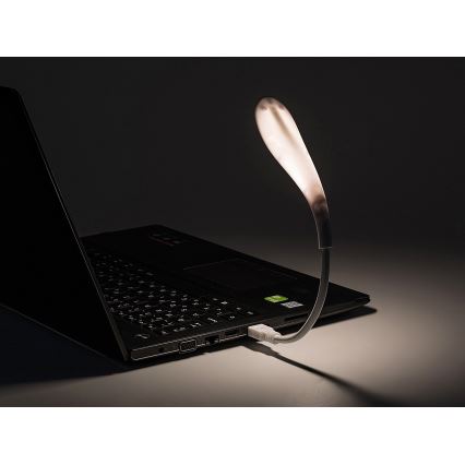 Rabalux - LED Paindlik USB väike lamp LED/2W/5V