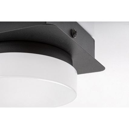 Rabalux - LED Laevalgusti vannituppa LED/5W/230V IP44 4000K must