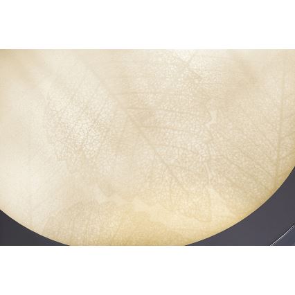 Rabalux - Vannitoa laelamp 2xE27/40W/230V IP44 läbimõõt 30 cm