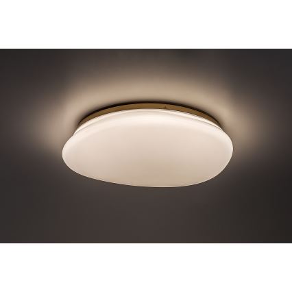 Rabalux - LED vannitoa laevalgusti LED/24W/230V IP44 läbimõõt 41 cm