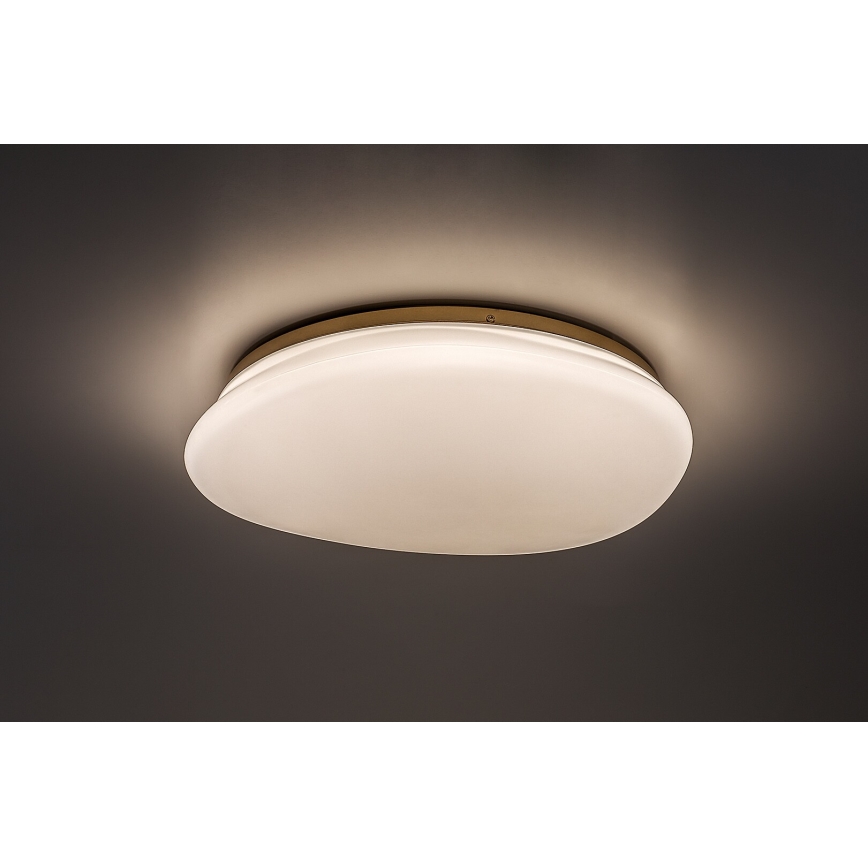 Rabalux - LED vannitoa laevalgusti LED/24W/230V IP44 läbimõõt 41 cm