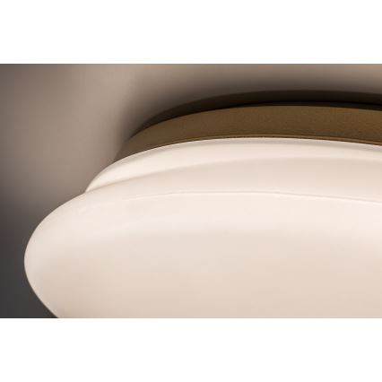 Rabalux - LED vannitoa laevalgusti LED/24W/230V IP44 läbimõõt 41 cm