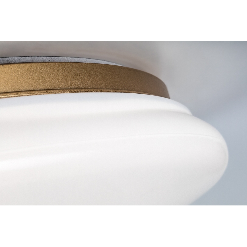 Rabalux - LED vannitoa laevalgusti LED/24W/230V IP44 läbimõõt 41 cm