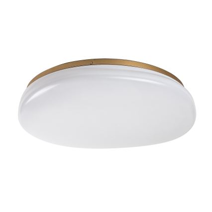 Rabalux - LED vannitoa laevalgusti LED/24W/230V IP44 läbimõõt 41 cm