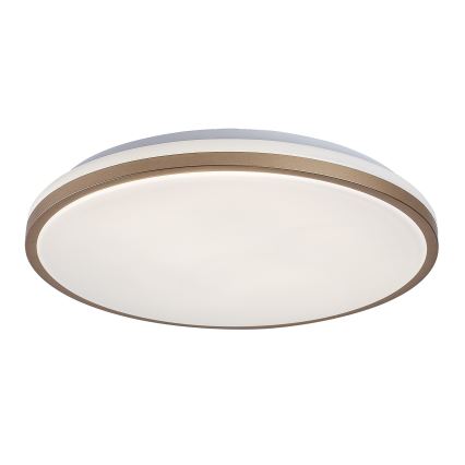 Rabalux - LED vannitoa laelamp LED/18W/230V IP44, läbimõõt 34 cm