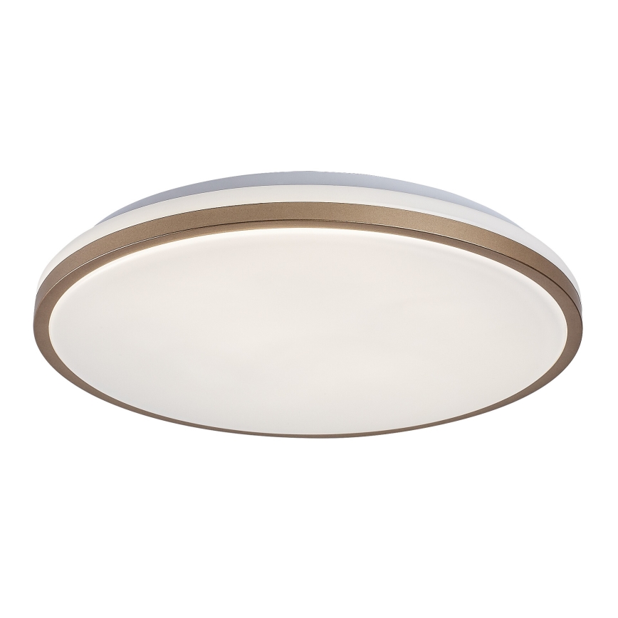 Rabalux - LED vannitoa laelamp LED/18W/230V IP44, läbimõõt 34 cm