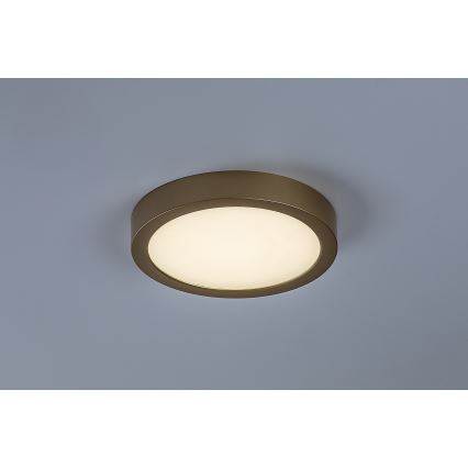 Rabalux - LED-vannitoa laelamp 24W/230V Ø 22 cm IP44 kuldne