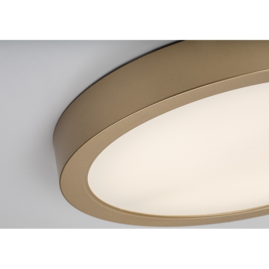 Rabalux - LED-vannitoa laelamp LED/30W/230V, läbimõõt 30 cm, IP44, kuldne