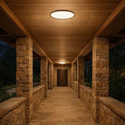 Rabalux - LED vannitoa laevalgusti LED/18W/230V 3000/4000/6000K läbimõõt 29 cm IP44 pruun