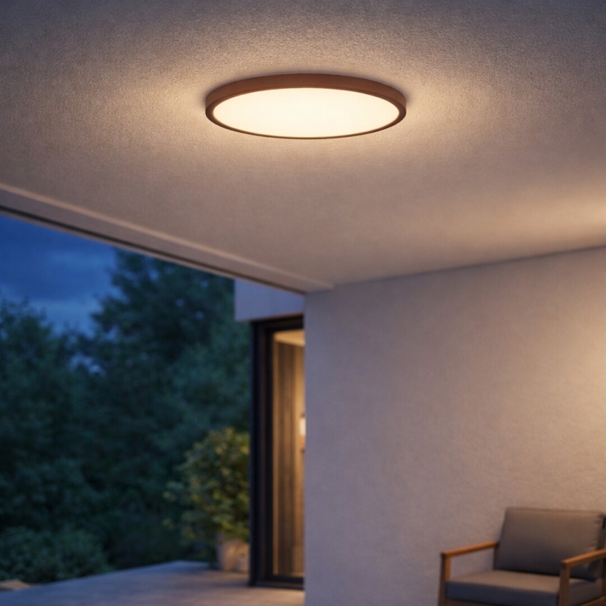 Rabalux - LED vannitoa laelamp LED/24W/230V 3000/4000/6000K läbimõõt 40 cm IP44 pruun