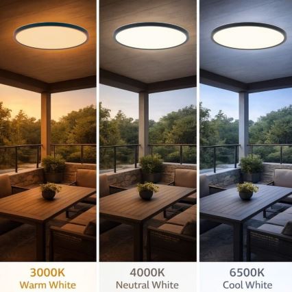 Rabalux - LED-vannitoa laelamp LED/24W/230V 3000/4000/6000K läbimõõt 40 cm IP44 must