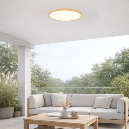 Rabalux - LED vannitoa laelamp LED/24W/230V 3000/4000/6000K läbimõõt 40 cm IP44 beež