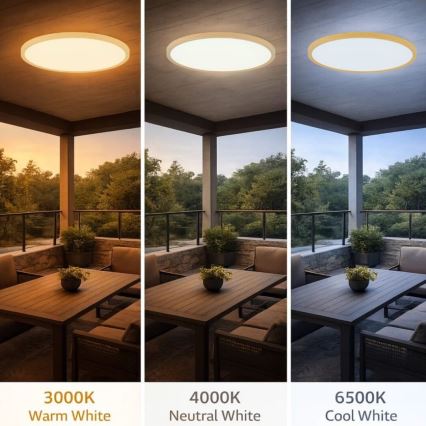 Rabalux - LED vannitoa laelamp LED/24W/230V 3000/4000/6000K läbimõõt 40 cm IP44 beež