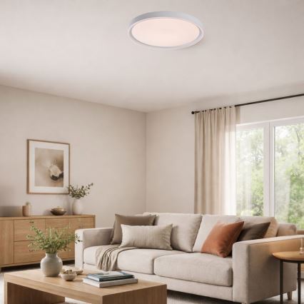Rabalux - hämardatav LED-laelamp LED/31W/230V IP40 3000-6500K, läbimõõt 41,5 cm + kaugjuhtimispult