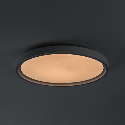 Rabalux - hämardatav LED-laelamp LED/31W/230V IP40 3000-6500K, läbimõõt 41,5 cm + kaugjuhtimispult